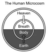 Human Microcosm