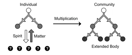 Multiplication