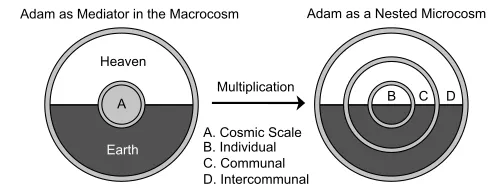 Scale